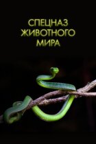 Спецназ животного мира онлайн безкоштовно