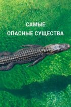 Найнебезпечніші істоти онлайн безкоштовно