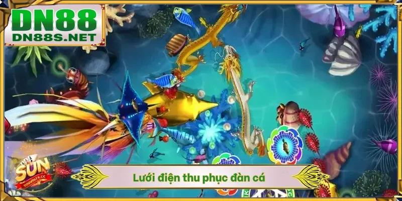 Lưới điện thu phục đàn cá